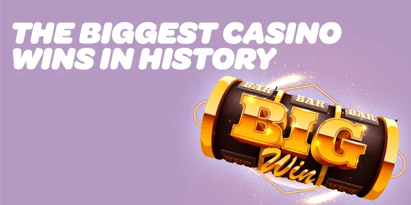 Winner Casino Live Experience Review for Canadian Players